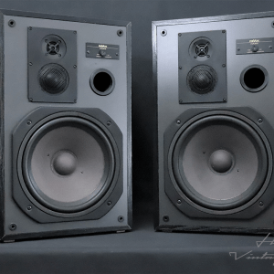 REVOX FORUM B Vintage Speakers