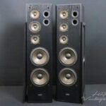 Eltax C-205 Floorstanding Speakers